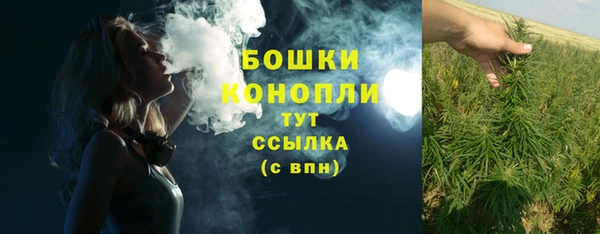 амфетамин Белокуриха
