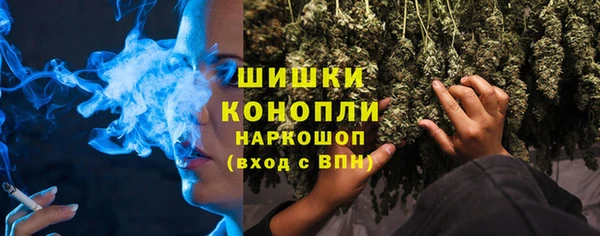 шишки Белоозёрский
