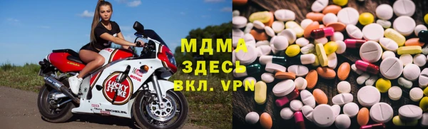 шишки Белоозёрский
