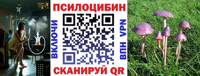 Галлюциногенные грибы прущие грибы  где найти наркотики  Нариманов 